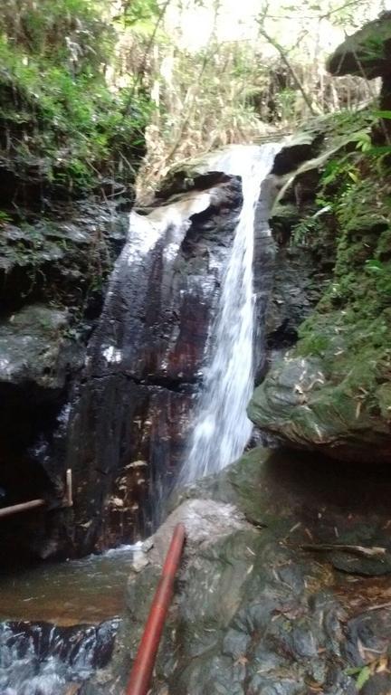 Pousada Mata Da Brauna Консейсан-ду-Мату-Дентру Экстерьер фото